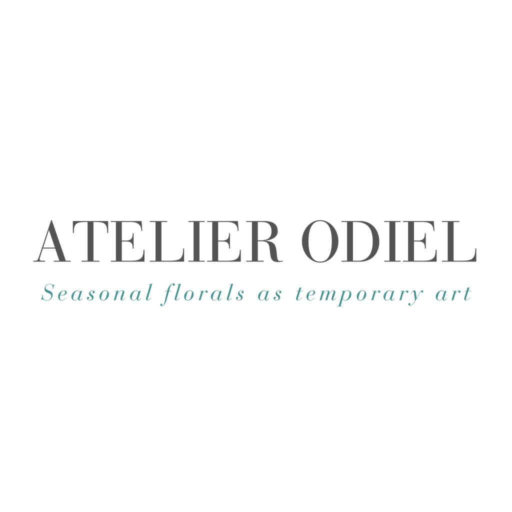 Aterlier Odiel - Coming soon